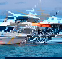 Poseidon Outer Great Barrier Reef Snorkeling and Diving Cruise from Port Douglas - Australia Accommodation