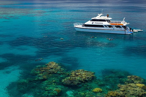 Poseidon Outer Great Barrier Reef Snorkeling And Diving Cruise From Port Douglas - Australia Accommodation 2