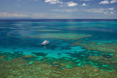 Poseidon Outer Great Barrier Reef Snorkeling And Diving Cruise From Port Douglas - Australia Accommodation 5