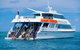 Poseidon Outer Great Barrier Reef Snorkeling And Diving Cruise From Port Douglas - thumb 7