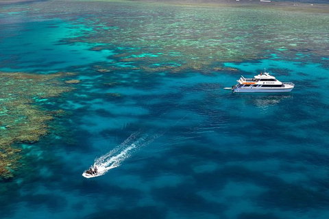 Poseidon Outer Great Barrier Reef Snorkeling And Diving Cruise From Port Douglas - Australia Accommodation 9