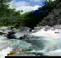 Daintree Rainforest Cape Tribulation Mossman Gorge in a day - Australia Accommodation