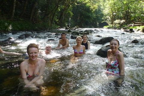 Daintree Rainforest, Cape Tribulation, Mossman Gorge In A Day - Australia Accommodation 10