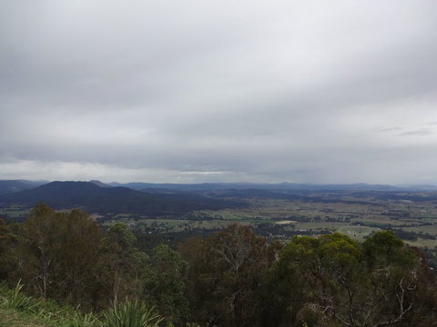 Springbrook AndTamborine Rainforest Tour Incl Natural Bridge And Glow Worm Cave - Australia Accommodation 7