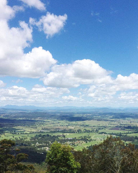 Springbrook AndTamborine Rainforest Tour Incl Natural Bridge And Glow Worm Cave - Australia Accommodation 5