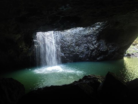 Springbrook AndTamborine Rainforest Tour Incl Natural Bridge And Glow Worm Cave - Australia Accommodation 2