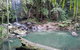 Springbrook AndTamborine Rainforest Tour Incl Natural Bridge And Glow Worm Cave - thumb 3