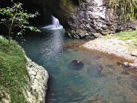 Springbrook AndTamborine Rainforest Tour Incl Natural Bridge And Glow Worm Cave - Australia Accommodation 6