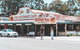 Springbrook AndTamborine Rainforest Tour Incl Natural Bridge And Glow Worm Cave - thumb 11