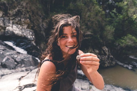 Springbrook AndTamborine Rainforest Tour Incl Natural Bridge And Glow Worm Cave - Australia Accommodation 10