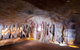 Springbrook AndTamborine Rainforest Tour Incl Natural Bridge And Glow Worm Cave - thumb 9