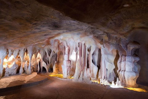 Springbrook AndTamborine Rainforest Tour Incl Natural Bridge And Glow Worm Cave - Australia Accommodation 9