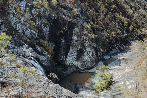 Springbrook AndTamborine Rainforest Tour Incl Natural Bridge And Glow Worm Cave - Australia Accommodation 15