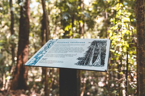 Springbrook AndTamborine Rainforest Tour Incl Natural Bridge And Glow Worm Cave - Australia Accommodation 14