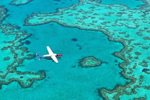 Reef And Island Scenic Flight From Airlie Beach - Australia Accommodation 11