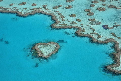 Reef And Island Scenic Flight From Airlie Beach - Australia Accommodation 7