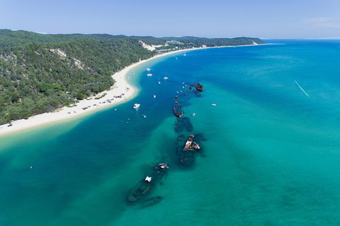 Cape Moreton Scenic 4WD Day Tour From Brisbane Or The Gold Coast - Australia Accommodation 8