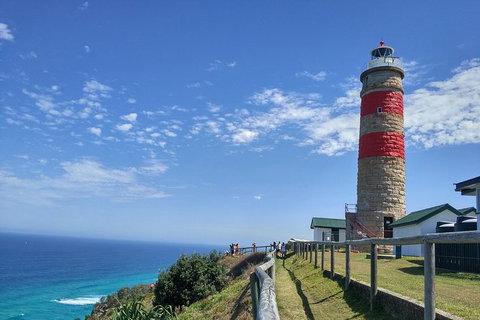 Cape Moreton Scenic 4WD Day Tour From Brisbane Or The Gold Coast - Australia Accommodation 6