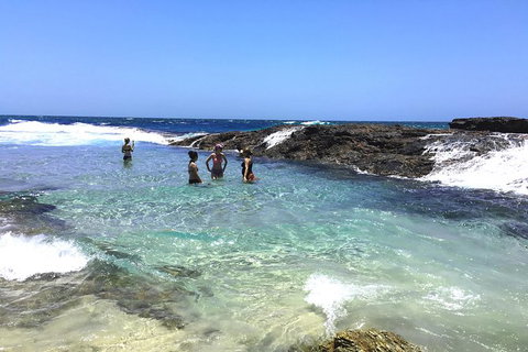 Cape Moreton Scenic 4WD Day Tour From Brisbane Or The Gold Coast - Australia Accommodation 3