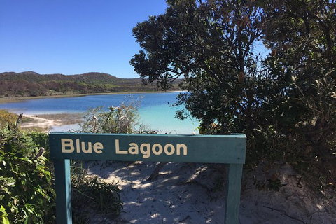 Cape Moreton Scenic 4WD Day Tour From Brisbane Or The Gold Coast - Australia Accommodation 4
