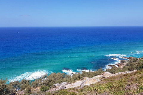 Cape Moreton Scenic 4WD Day Tour From Brisbane Or The Gold Coast - Australia Accommodation 7