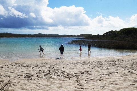Cape Moreton Scenic 4WD Day Tour From Brisbane Or The Gold Coast - Australia Accommodation 5