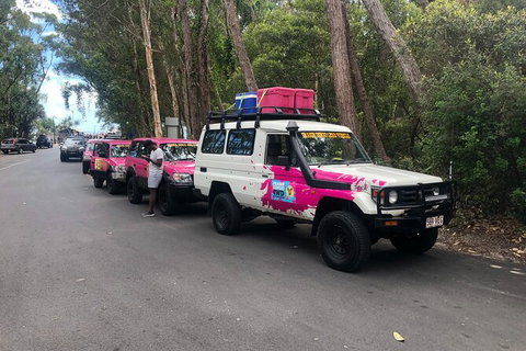 2-Day Fraser Island 4WD Tag-Along Tour At Beach House From Hervey Bay - Australia Accommodation 6