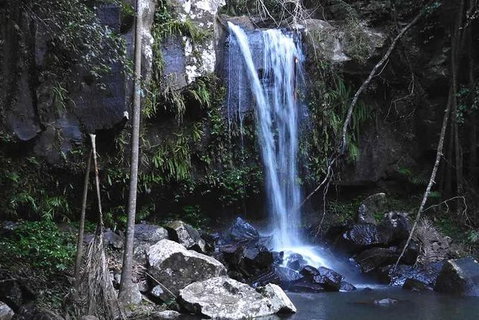 You Choose The Tour: Brisbane Private Chauffeur Driven Personal Tour - Australia Accommodation 0