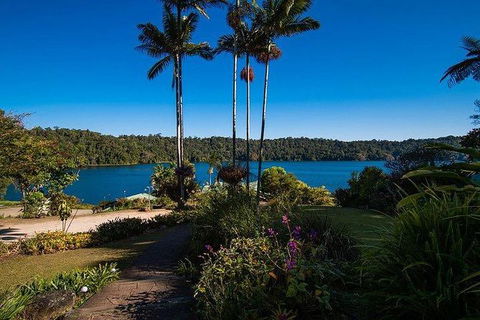 Daintree - Cape Tribulation & Atherton Tablelands Tours From Port Douglas - Australia Accommodation 25