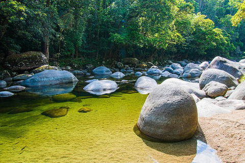 Daintree - Cape Tribulation & Atherton Tablelands Tours From Port Douglas - Australia Accommodation 6