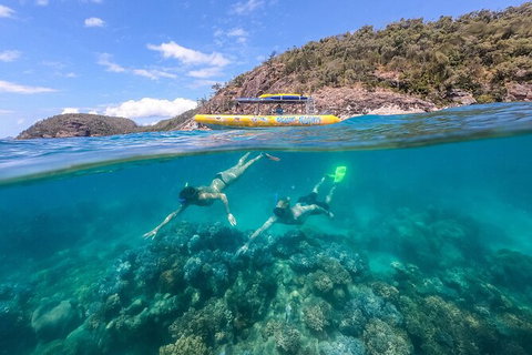 Ocean Rafting Tour To Whitehaven Beach, Hill Inlet Lookout & Top Snorkel Spots - Australia Accommodation 16