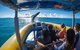 Ocean Rafting Tour To Whitehaven Beach, Hill Inlet Lookout & Top Snorkel Spots - thumb 14