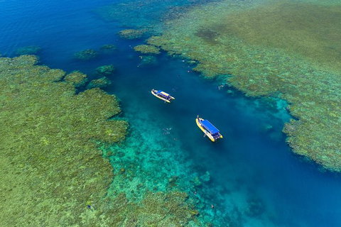 Ocean Rafting Tour To Whitehaven Beach, Hill Inlet Lookout & Top Snorkel Spots - Australia Accommodation 23