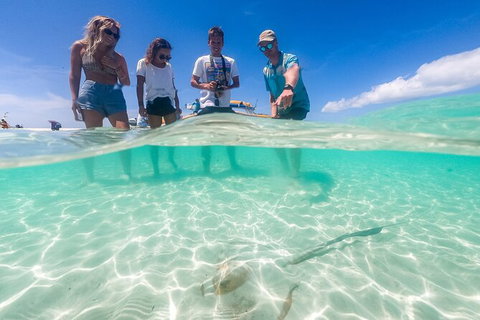 Ocean Rafting Tour To Whitehaven Beach, Hill Inlet Lookout & Top Snorkel Spots - Australia Accommodation 24