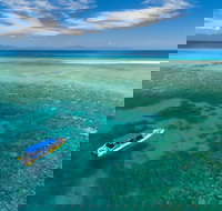 Ocean Safari Great Barrier Reef Experience in Cape Tribulation - Australia Accommodation