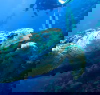 Scuba Dive the S.S. Yongala Wreck on the Great Barrier Reef. - Australia Accommodation
