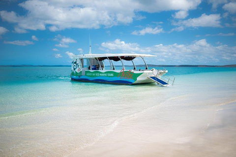 Great Sandy Marine Park Turtle Discovery And Cultural Eco Tour - Australia Accommodation 0