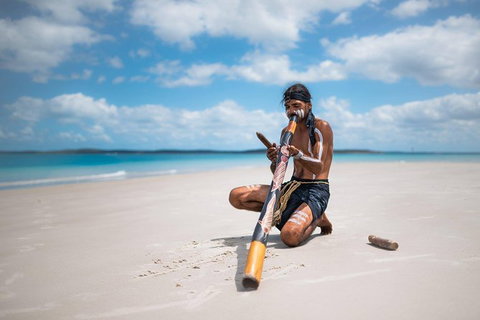 Great Sandy Marine Park Turtle Discovery And Cultural Eco Tour - Australia Accommodation 1