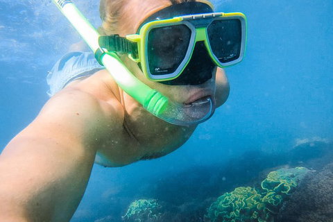 Great Sandy Marine Park Turtle Discovery And Cultural Eco Tour - Australia Accommodation 2