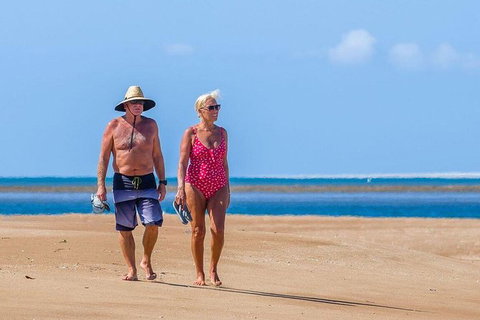 Great Sandy Marine Park Turtle Discovery And Cultural Eco Tour - Australia Accommodation 3