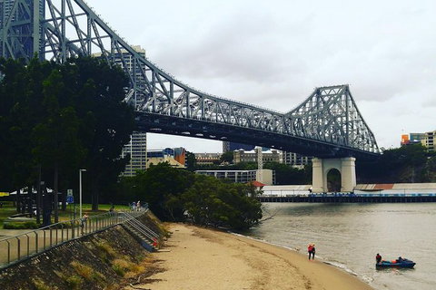 Brisbane River Guided Evening Tour By Kayak - Our Most Popular Tour - Australia Accommodation 1