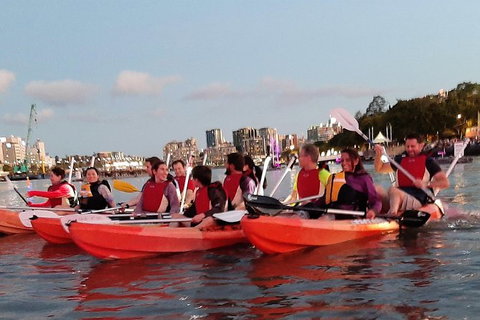Brisbane River Guided Evening Tour By Kayak - Our Most Popular Tour - Australia Accommodation 4