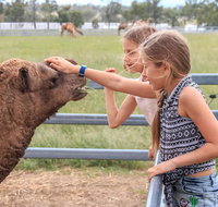 Camel Farm Deluxe Experience - Australia Accommodation