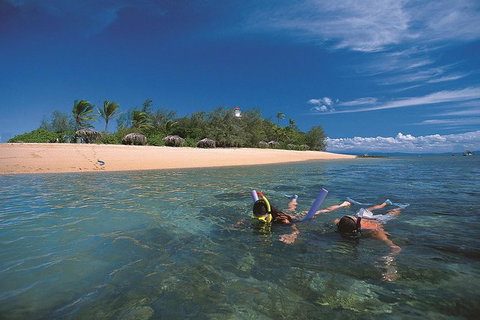 Mossman Gorge Dreamtime Walk And Low Isles Snorkeling And Sailing Cruise - Australia Accommodation 1