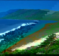 Cairns Reef and Rainforest Combo Daintree Rainforest and the Great Barrier Reef - Australia Accommodation