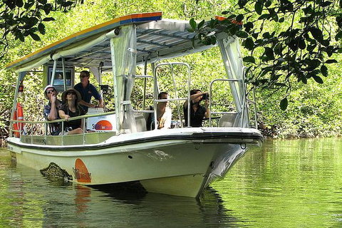 Cairns Reef And Rainforest Combo: Daintree Rainforest And The Great Barrier Reef - Australia Accommodation 5
