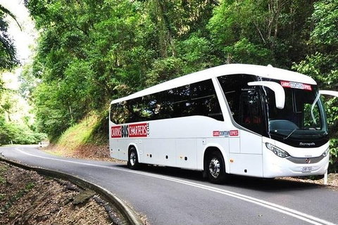 Port Douglas Departure Transfer - Port Douglas To Airport - Australia Accommodation 1