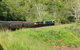 Kuranda Scenic Railway Day Trip From Port Douglas - thumb 3