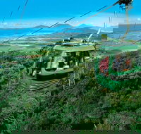 Small-Group Kuranda Village Skyrail Cableway and Scenic Railway Day Trip from Port Douglas - Australia Accommodation