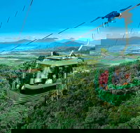 Kuranda Full-Day Small-Group Tour from Port Douglas - Australia Accommodation